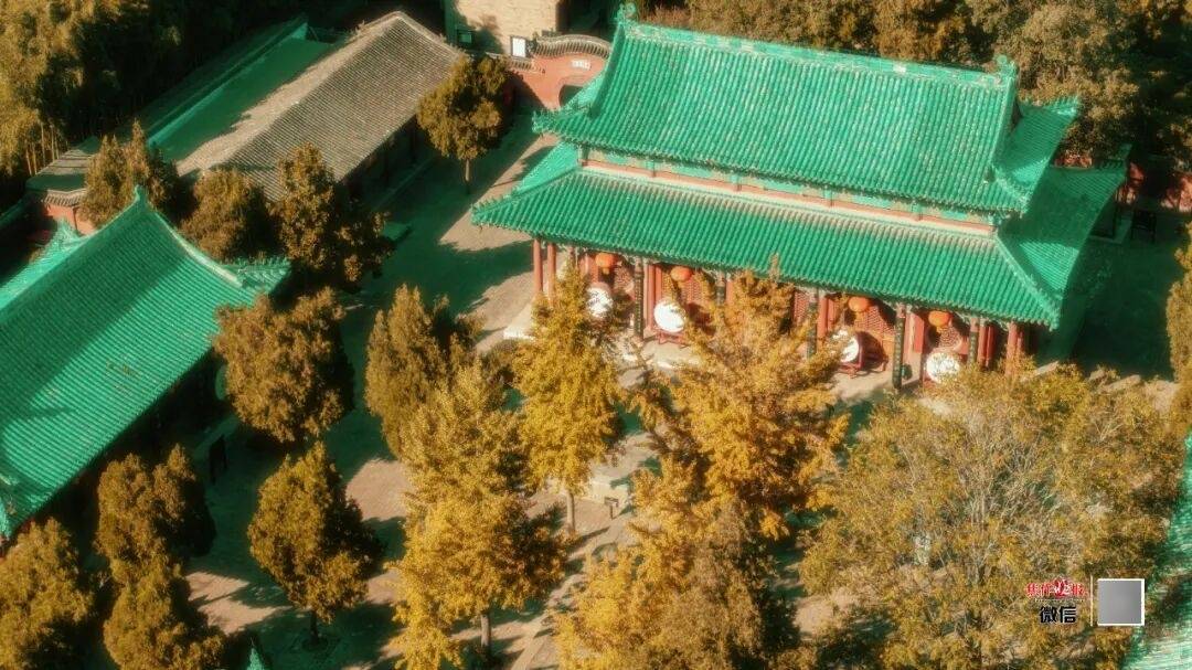 银杏金黄<strong></p>
<p>一个比特币多少钱</strong>！铺满焦作的秋天！
