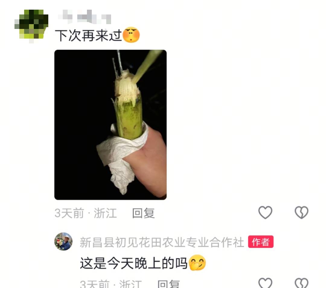 浙江一“可偷甘蔗地”成打卡点<strong></p>
<p>比特币多少钱一个</strong>，上百网友深夜体验，80后“地主”：已收偷款6千元
