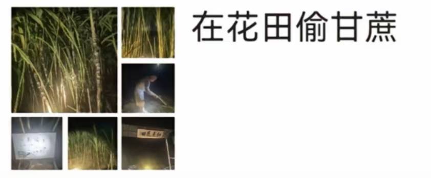 浙江一“可偷甘蔗地”成打卡点<strong></p>
<p>比特币多少钱一个</strong>，上百网友深夜体验，80后“地主”：已收偷款6千元