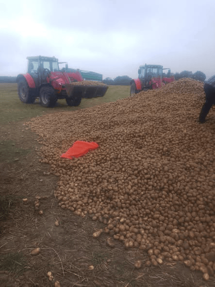 波兰68岁农民收获的150吨土豆被一夜搬空<strong></p>
<p>怎么购买比特币</strong>, 只因帖子遭篡改