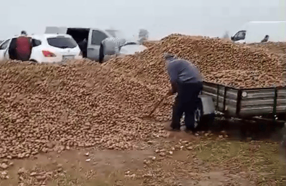 波兰68岁农民收获的150吨土豆被一夜搬空<strong></p>
<p>怎么购买比特币</strong>, 只因帖子遭篡改