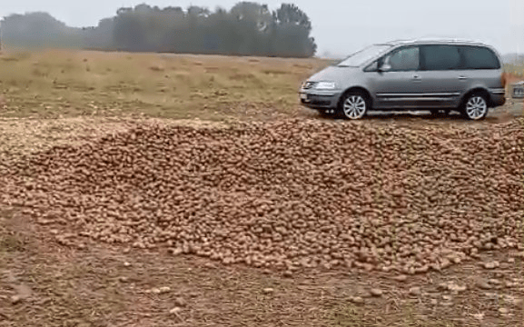 波兰68岁农民收获的150吨土豆被一夜搬空<strong></p>
<p>怎么购买比特币</strong>, 只因帖子遭篡改