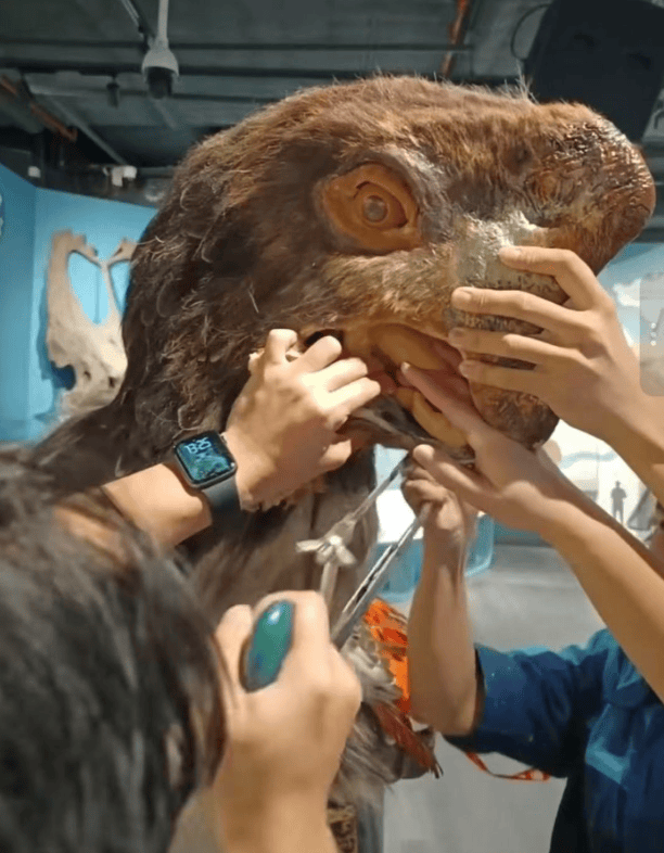 被卡住了<strong></p>
<p>怎么购买比特币</strong>！广州一游客把手伸进恐龙模型嘴中