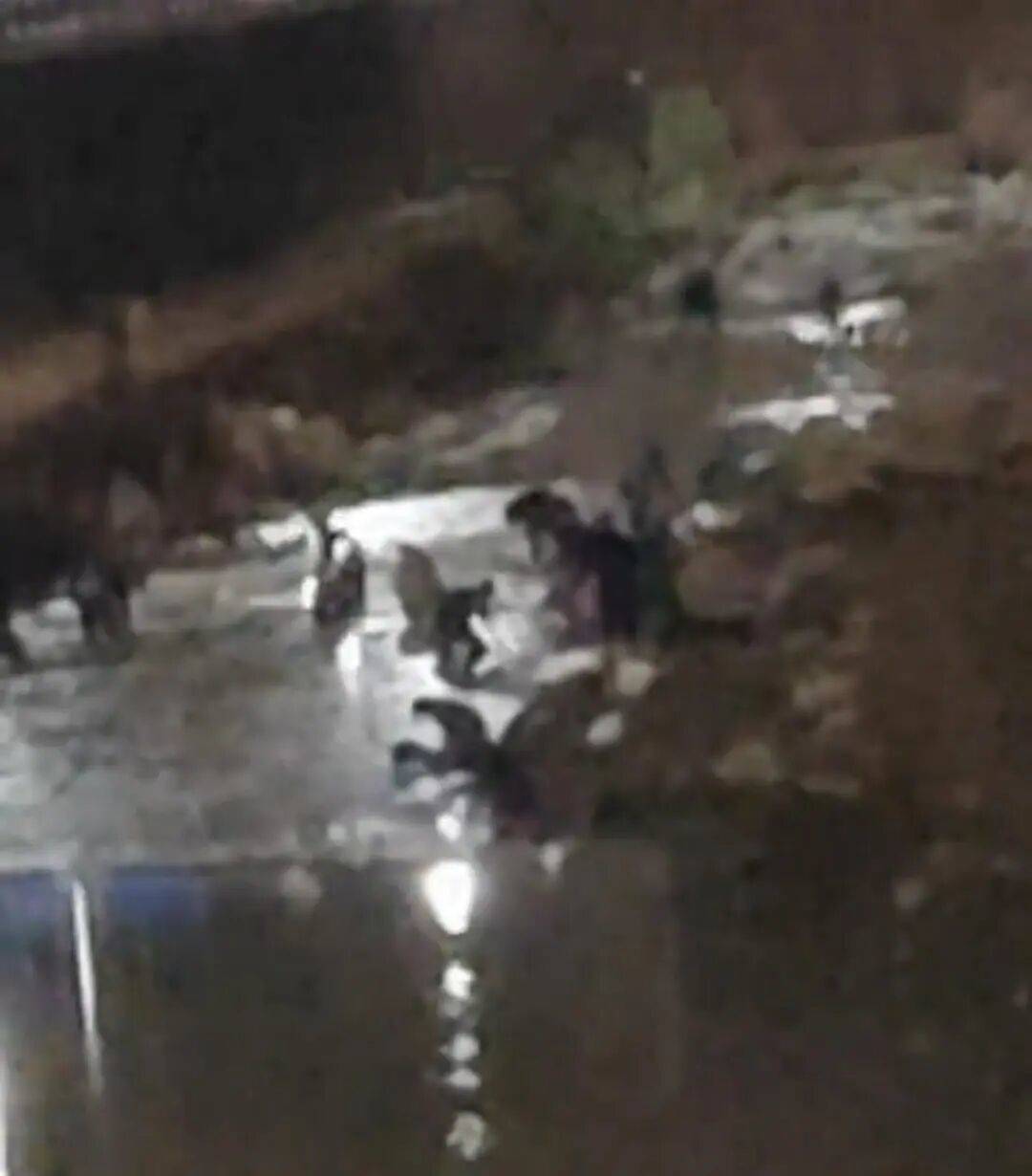 “一盆出5克多”<strong></p>
<p>比特币创始人</strong>,多人凌晨下河淘金!当地警方回应