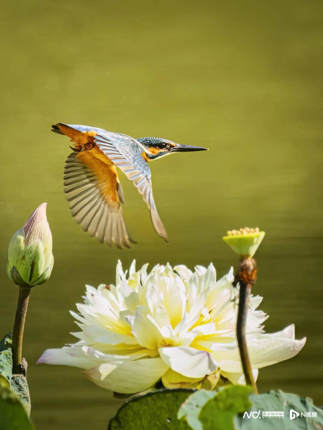 东莞最新发布:将严厉打击这些行为<strong></p>
<p>比特币现在多少钱</strong>!