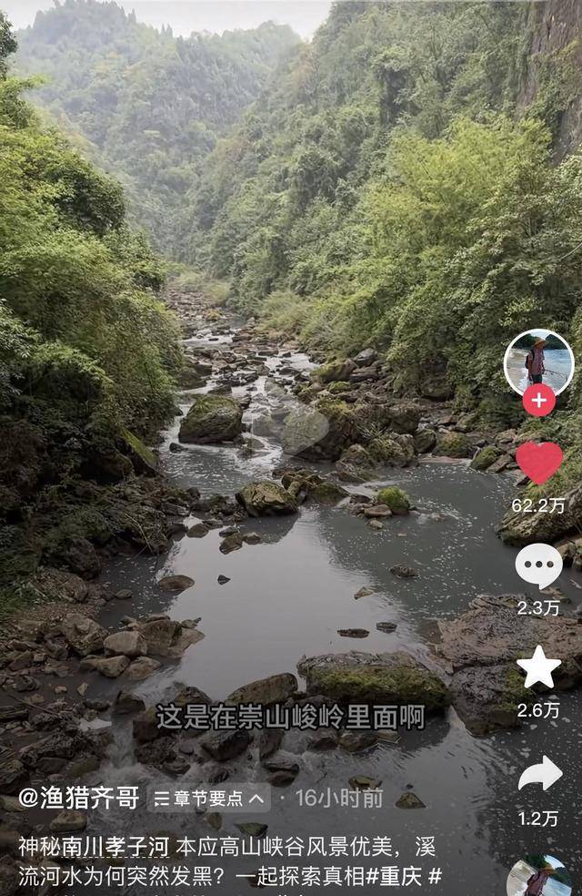 300万粉丝博主曝光重庆一河流污染严重<strong></p>
<p>比特币价值</strong>，当地：正在现场处置，尚不知污染原因