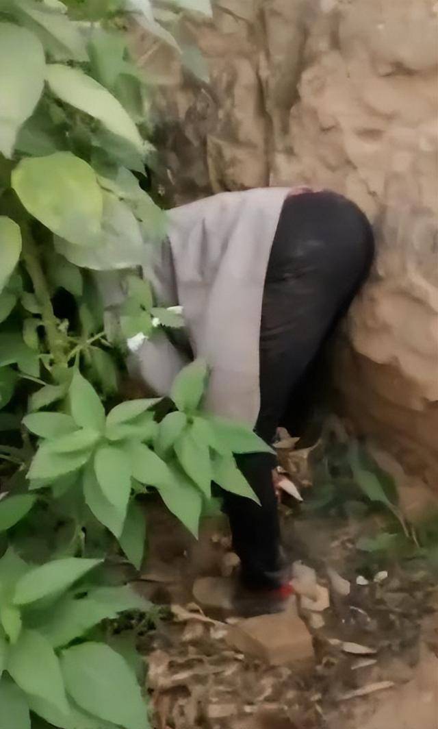 陕西一女子疑因拍亲姑姑偷玉米遭姑父棍杀<strong></p>
<p>比特币交易今日价格</strong>，邻居欲报警也遇害