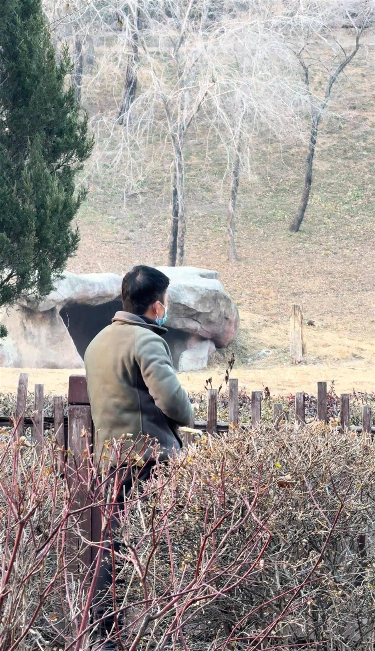 沈阳一男子动物园内用弹弓射老虎<strong></p>
<p>比特币挖矿机</strong>，目击者称其“填装了弹丸”，打完后老虎爬起来了，园方：正在核实情况