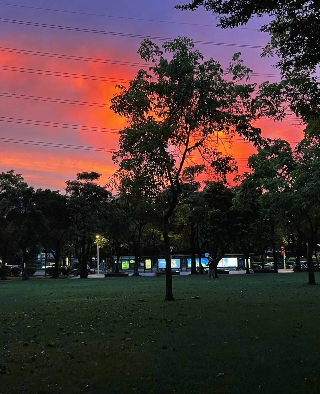 第一批丁克老后<strong></p>
<p>比特币挖矿机</strong>，“伴侣能陪一程，但最后都要靠自己”