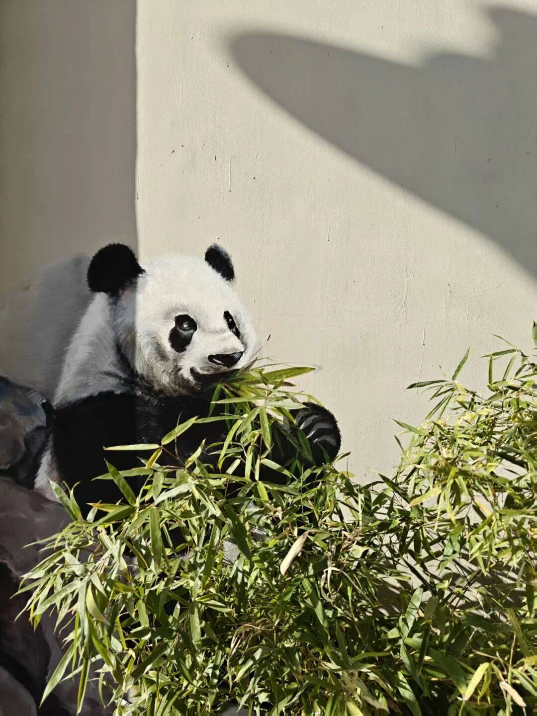 “颜值”出圈 天津和平区独山路这面彩绘墙“亮”<strong></p>
<p>比特币行情美元</strong>了