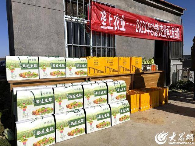 山东青岛：全国首批“板蓝根白菜”喜获丰收<strong></p>
<p>比特币网站</strong>，正式上市！首批10万棵已被上海采购商“包圆”