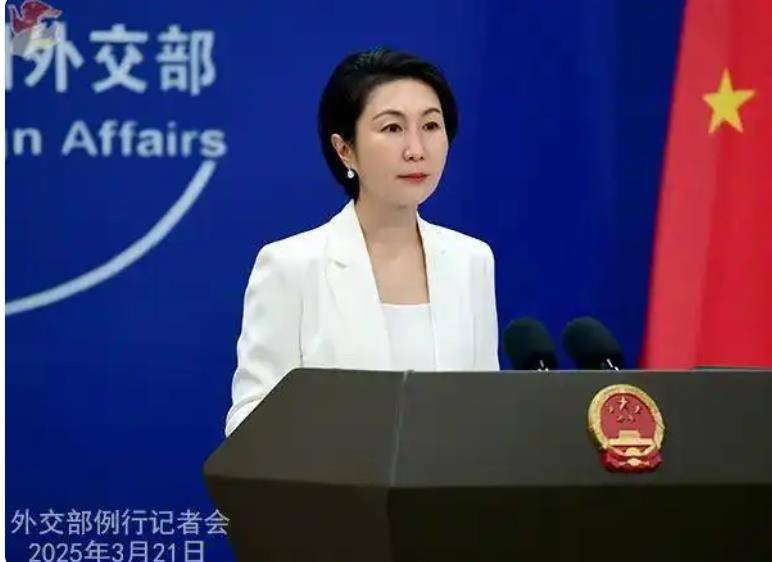 岩崎茂被中方采取反制措施：他被称为“最突出的亲美派”，系日本防务重量级人物，3月被台湾聘为顾问