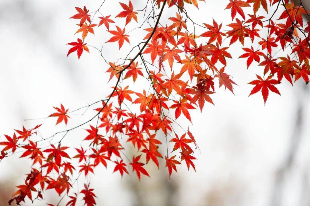 本周晴多雨少 明日气温回升