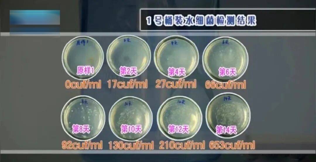 6种东西<strong></p>
<p>比特币价格走势图</strong>,没过保质期就“坏了”?赶紧看看,别拿全家健康开玩笑