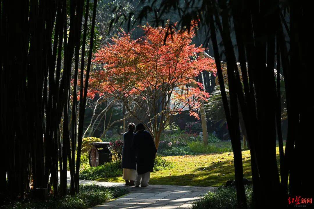 我国已进入拉尼娜状态<strong></p>
<p>比特币换算</strong>！四川今冬或“前暖后冷”