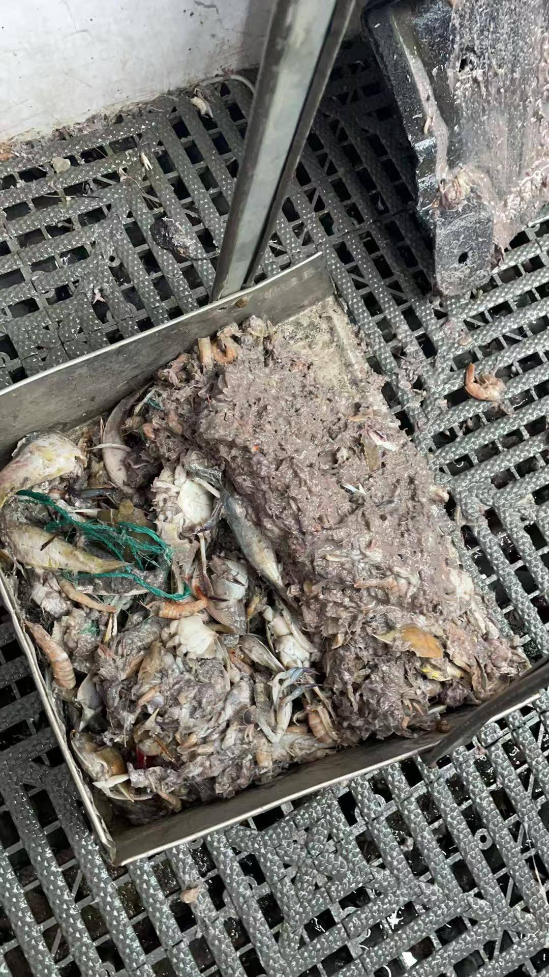 紫牛头条｜40余车辆遭高速海鲜废料“臭袭”<strong></p>
<p>比特币行情k线图</strong>，交警称“非交通事故”，车主维权陷两难