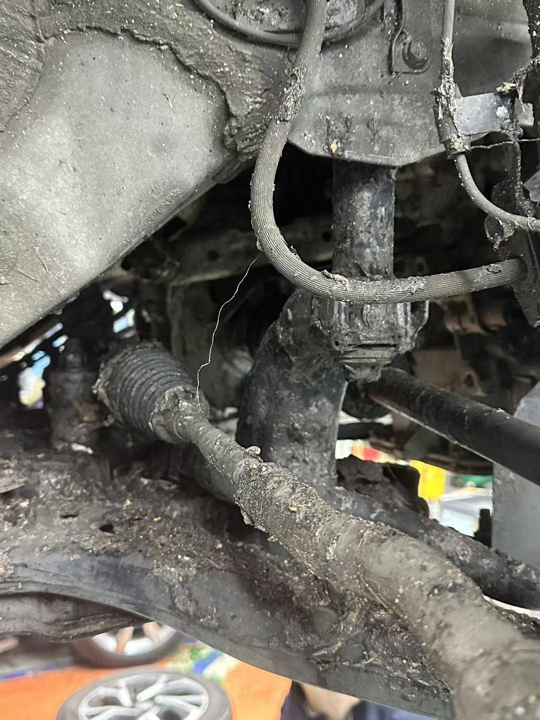 紫牛头条｜40余车辆遭高速海鲜废料“臭袭”<strong></p>
<p>比特币行情k线图</strong>，交警称“非交通事故”，车主维权陷两难