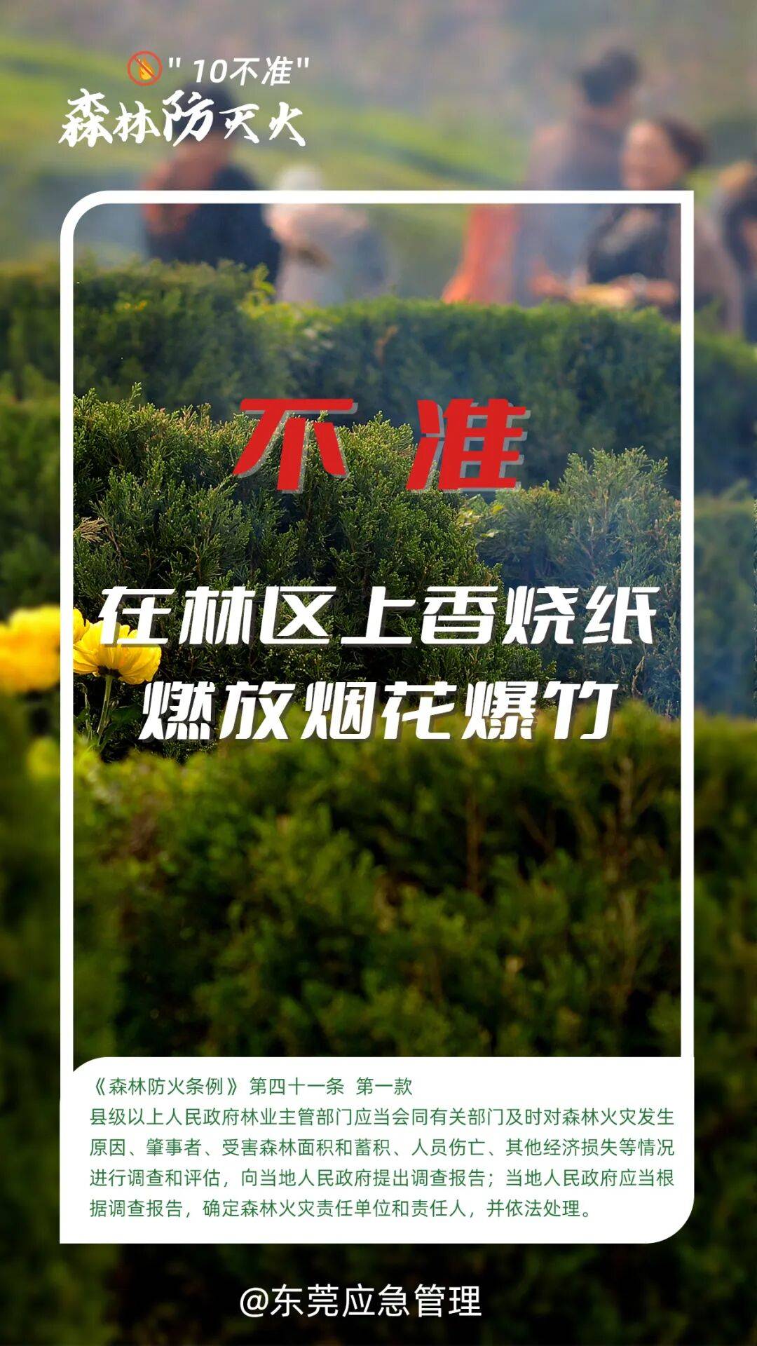深圳坪山区突发山火<strong></p>
<p>比特币在哪里买卖交易</strong>,最新通报:明火已扑灭,无人员伤亡