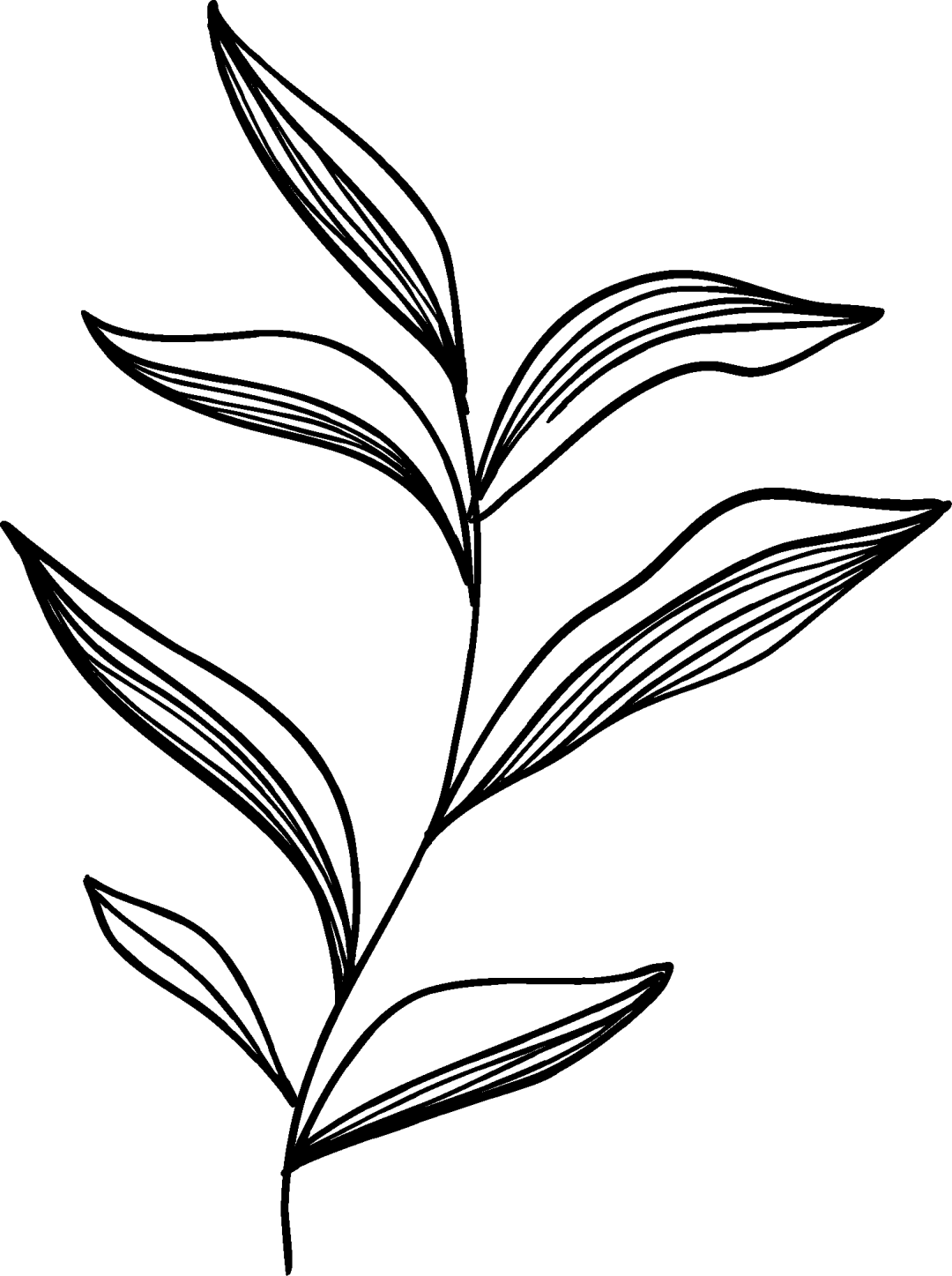 树山分馆限定 | 在竹林里<strong></p>
<p>比特币的行情价格</strong>，细品22支咖啡豆的“风味之书”