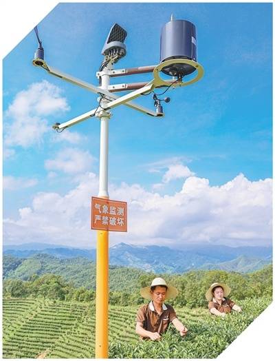 坚持“双碳”引领<strong></p>
<p>比特币的行情价格</strong>，推动全面绿色转型（稳中求进、提质增效 实现“十五五”良好开局）