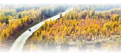 坚持“双碳”引领<strong></p>
<p>比特币的行情价格</strong>，推动全面绿色转型（稳中求进、提质增效 实现“十五五”良好开局）