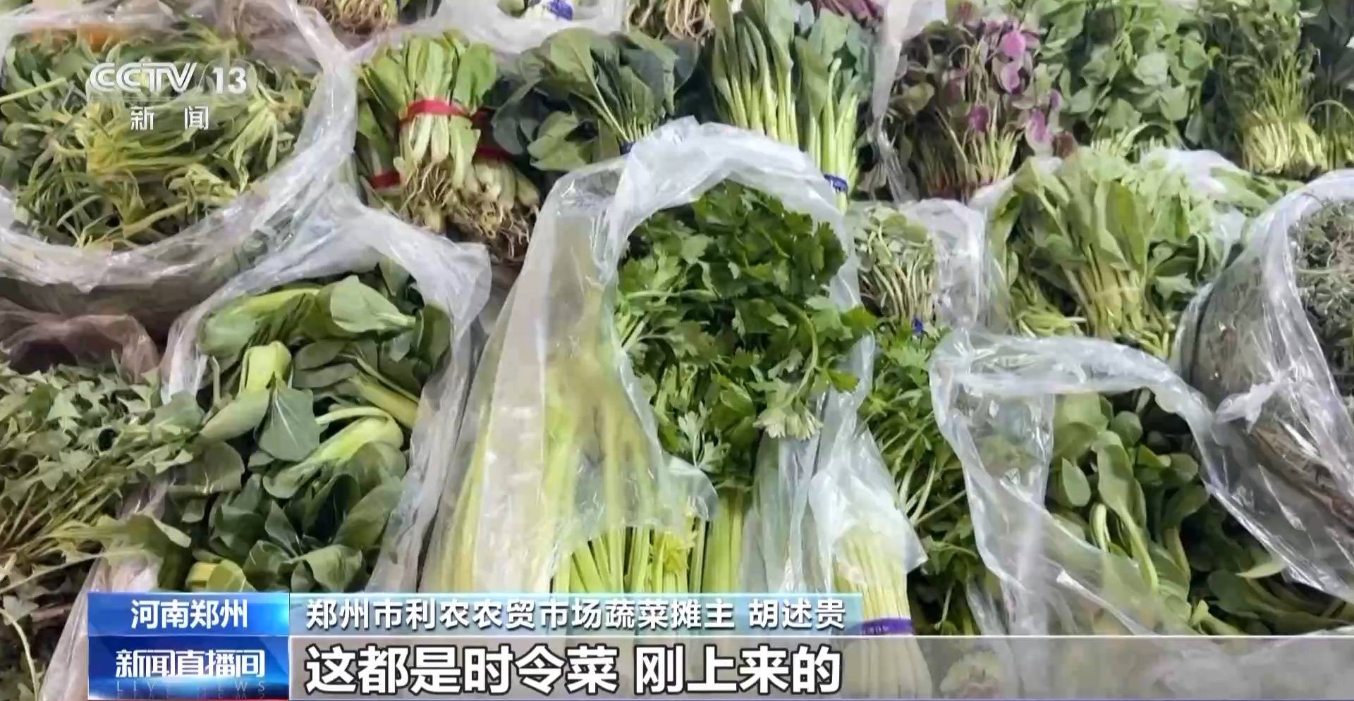 蒸、煎、拌、酿……一口鲜菜如何“锁”住春天<strong></p>
<p>比特币历史最高价格</strong>？