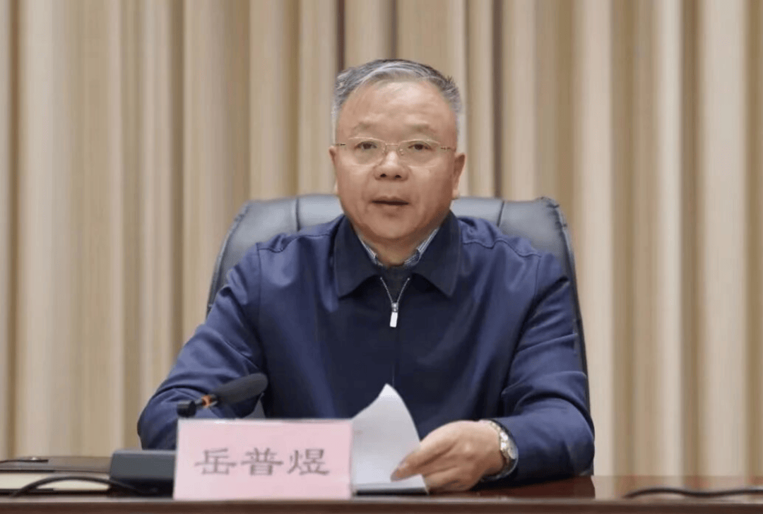 打虎!岳普煜被查