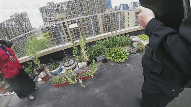 杭州一小区发现35株罂粟！保安巡逻起疑后报警<strong></p>
<p>比特币数量</strong>，警方：2位老人在菜盆、花盆混种，隐蔽性极强，分别罚款300元、400元