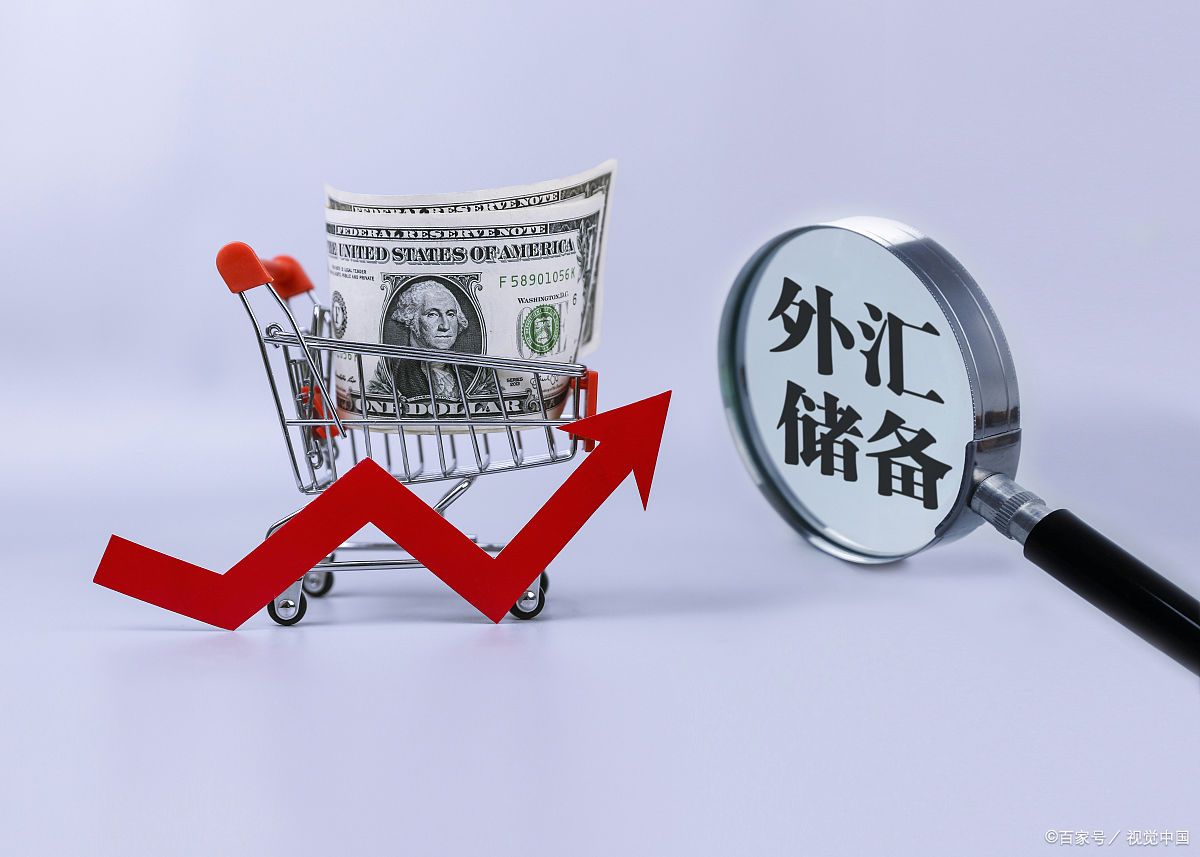 国际货币危机(国际货币危机的应对措施)